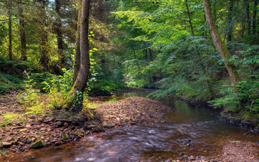 �1756077 �������(a): ����������:1920x1200